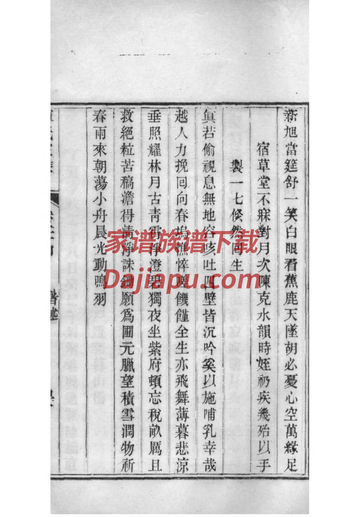 抄氏家谱族谱数据库