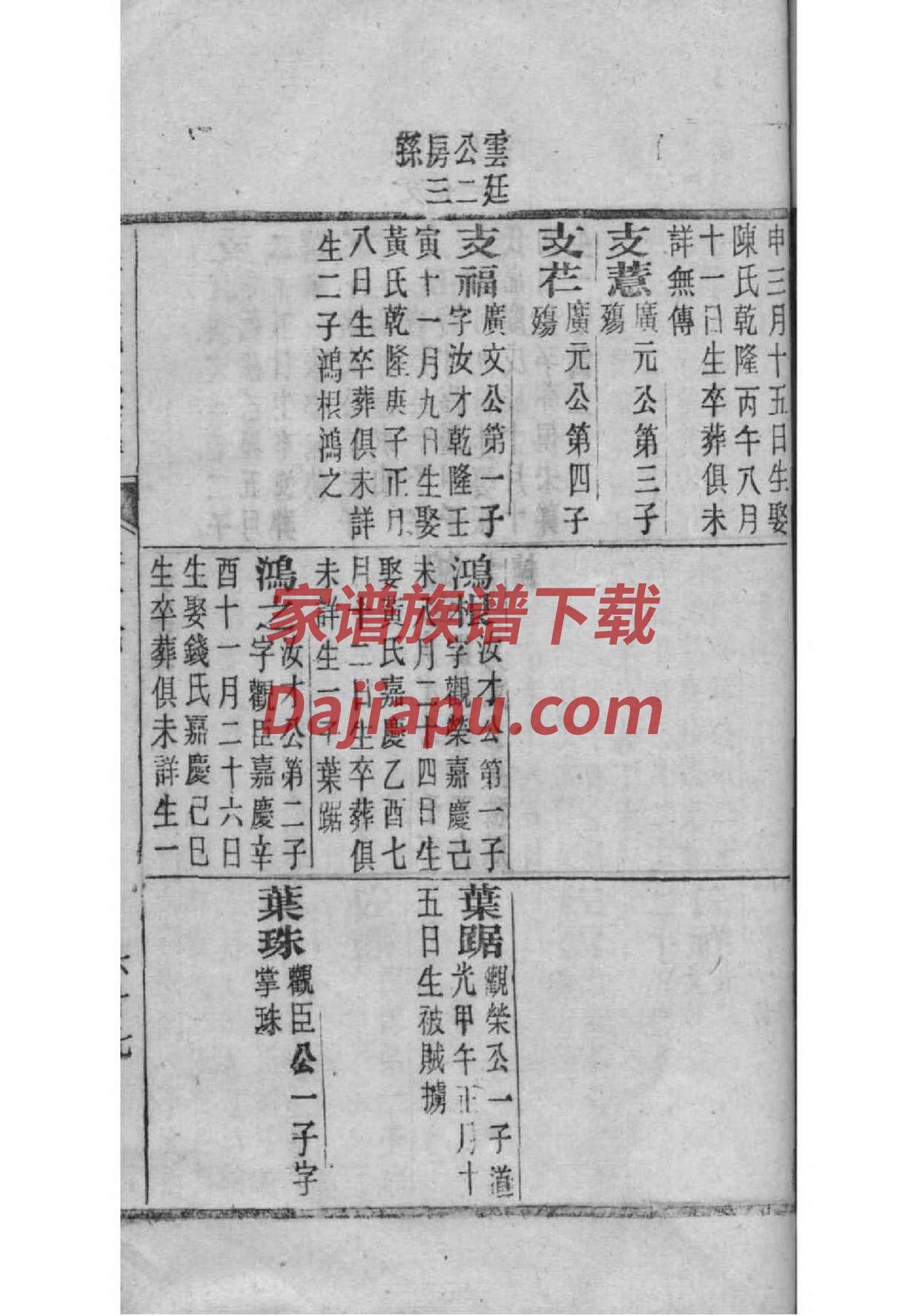 展姓辈分排行世系表