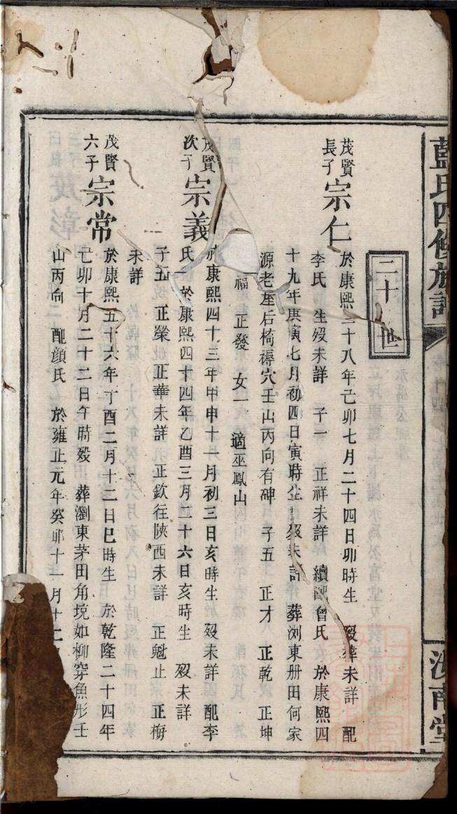 于姓族谱字辈查询全部