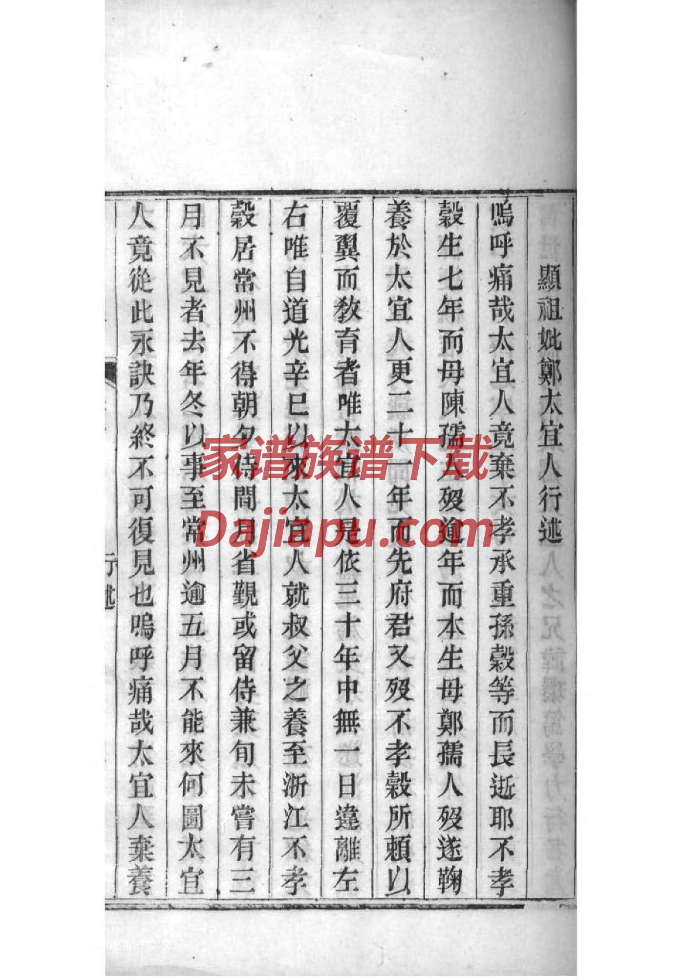 张氏家谱60个字辈排序