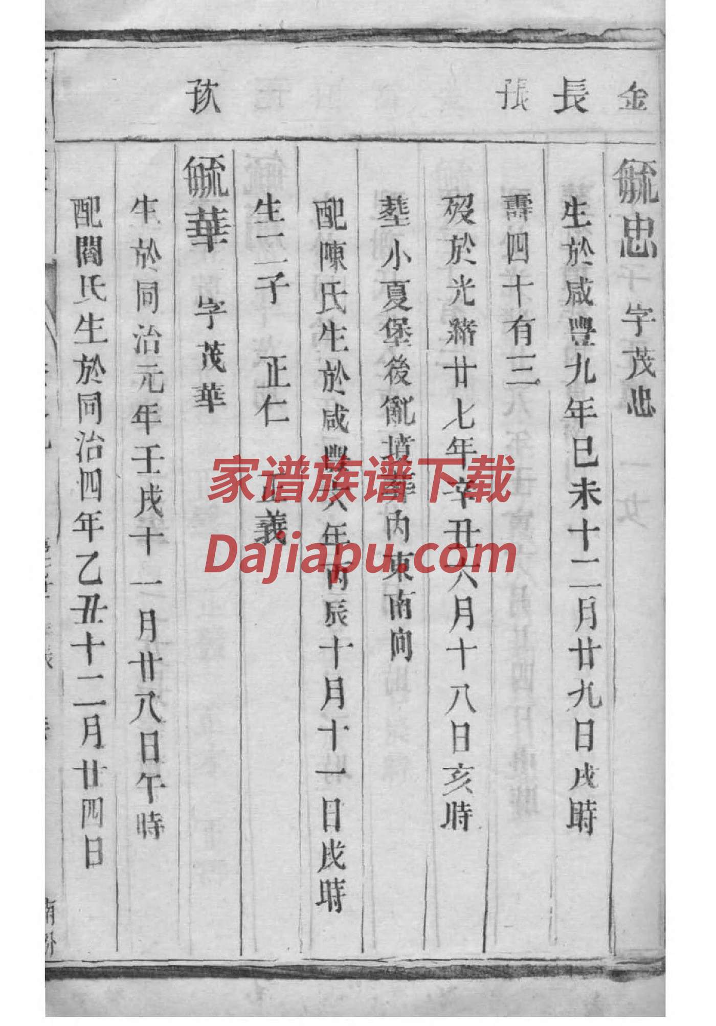 嵺姓族谱字辈排行