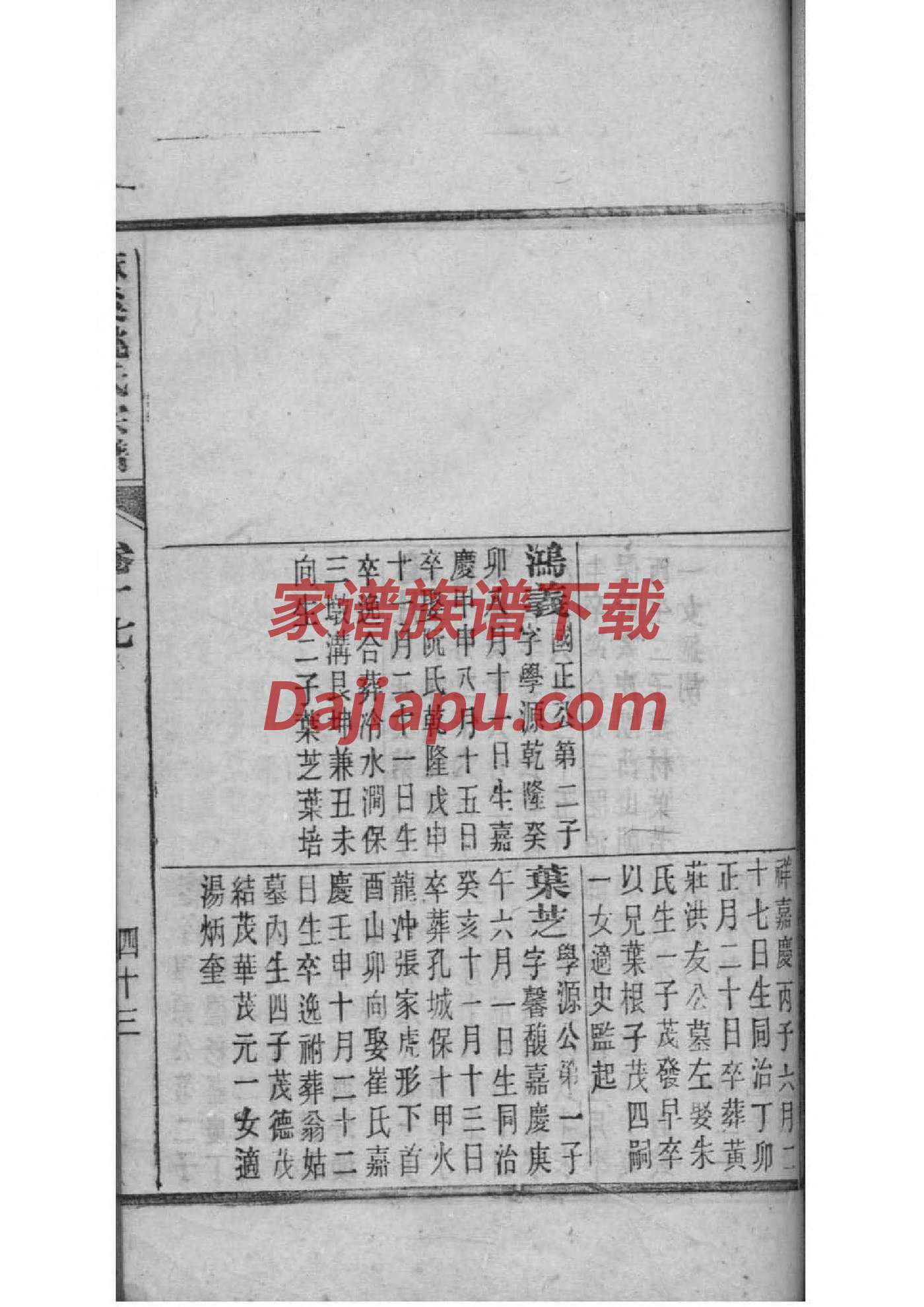 家谱图手抄报
