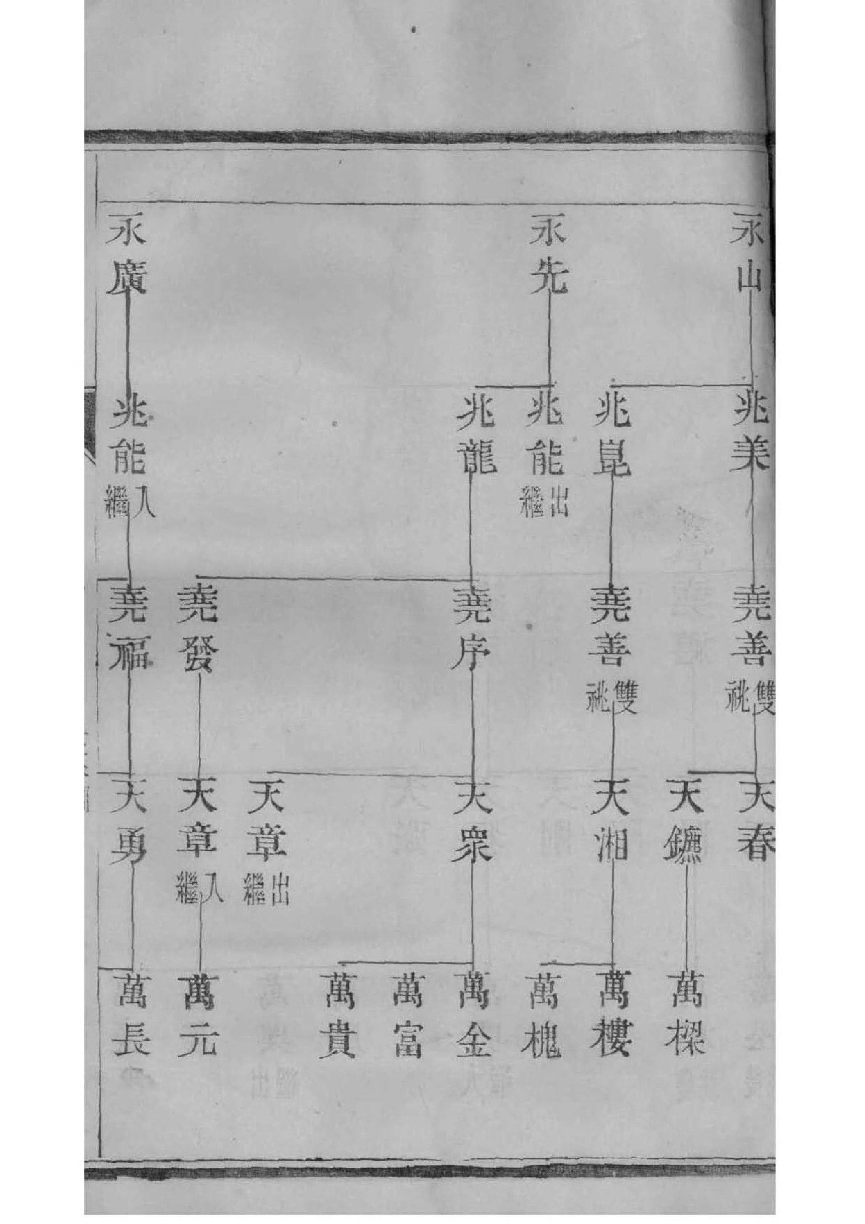 徐姓免费查自己家谱