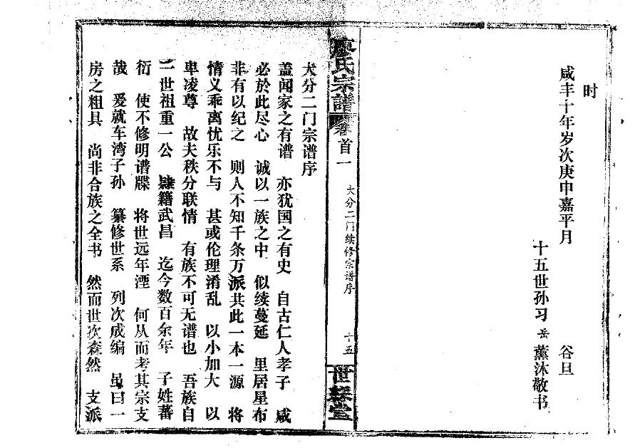 家谱字体格式