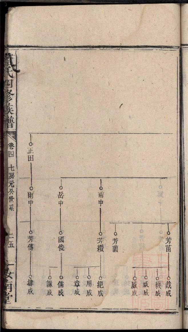 广东杨氏族谱
