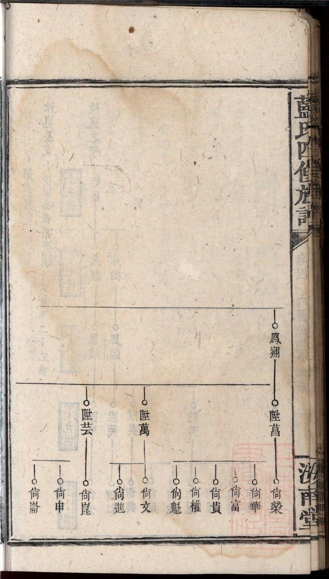 免费族谱软件