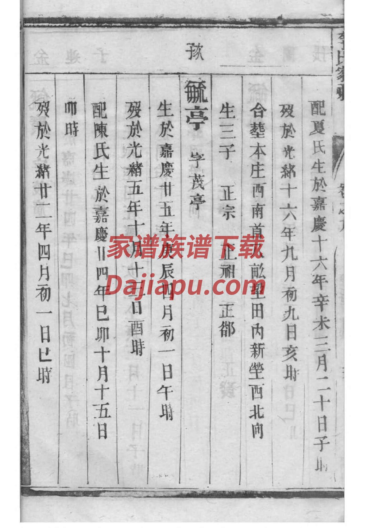 台氏家谱族谱数据库