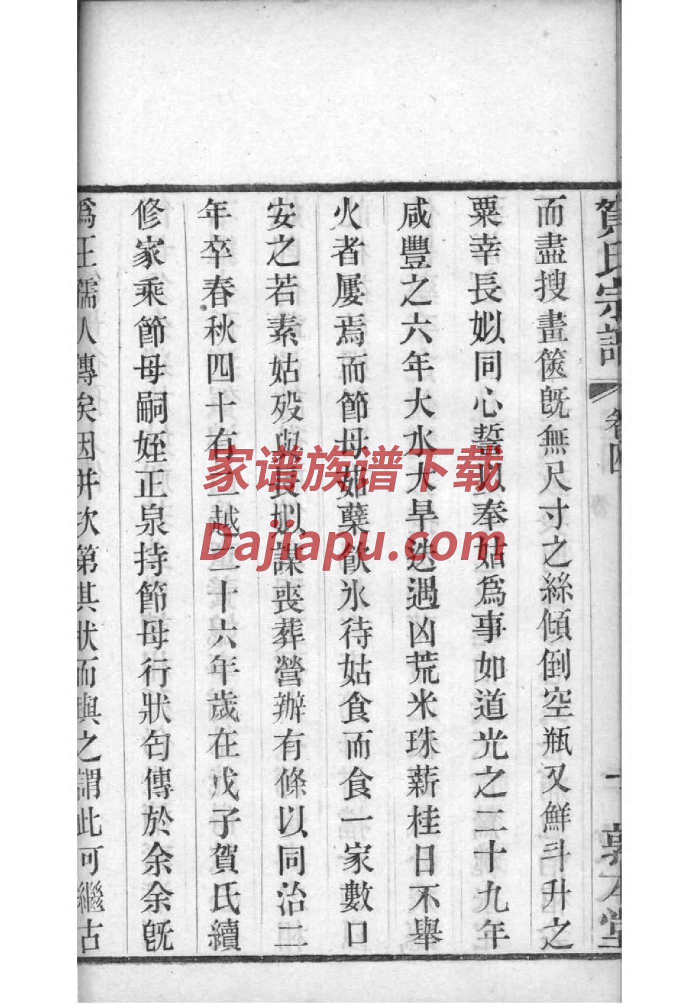 最新岳家家谱