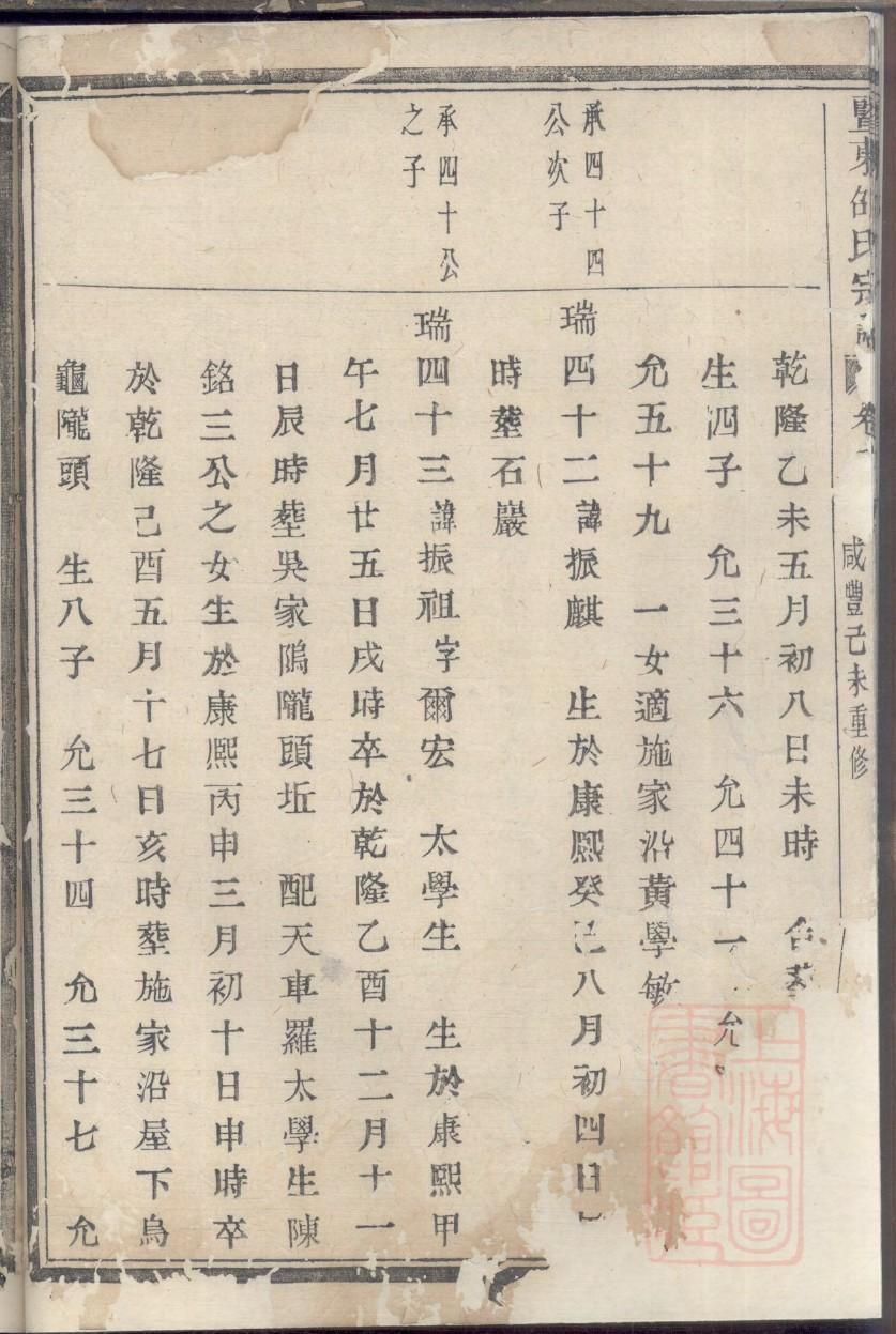 马犬曼菲斯家谱