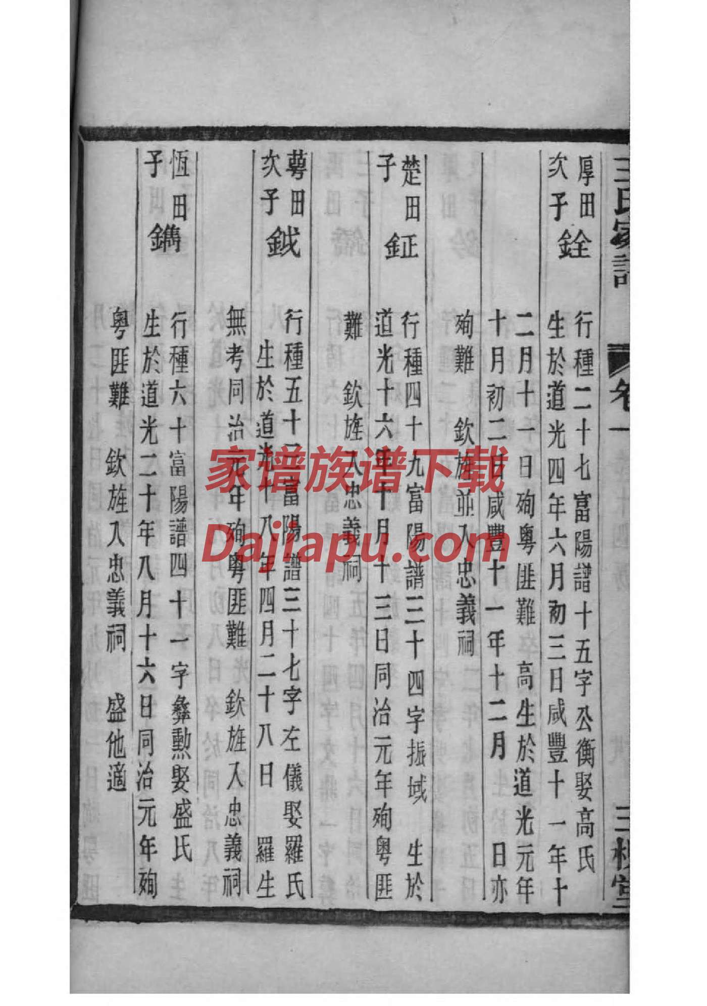 任家家谱