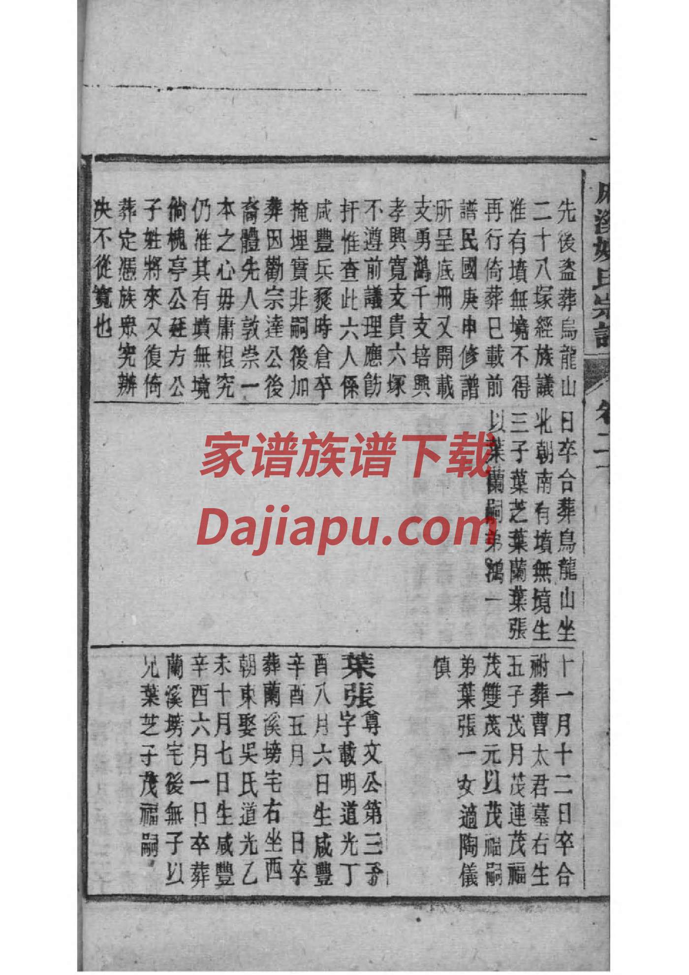 程氏辈分表