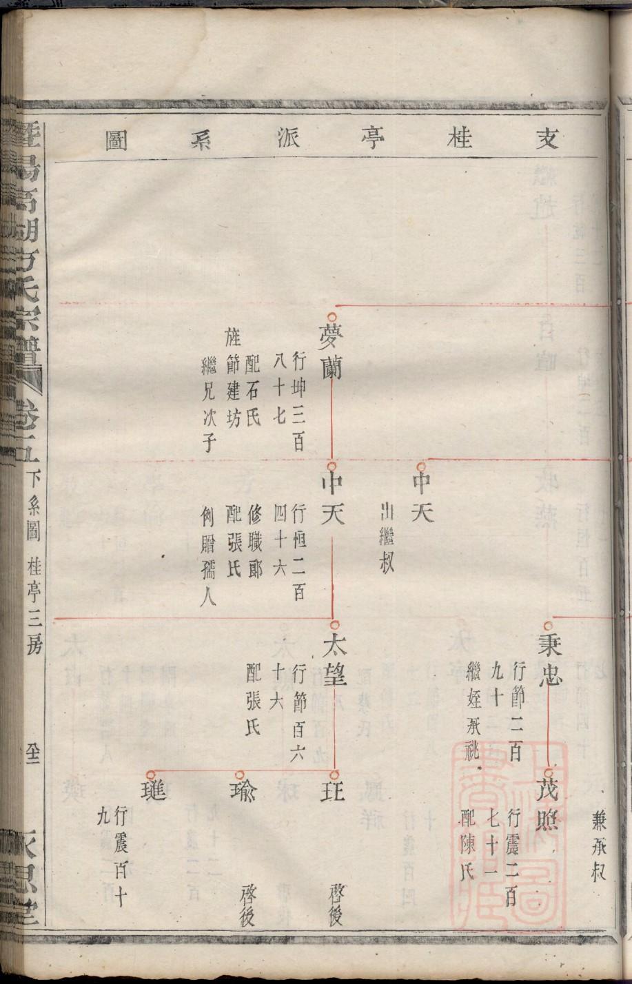家谱长什么样