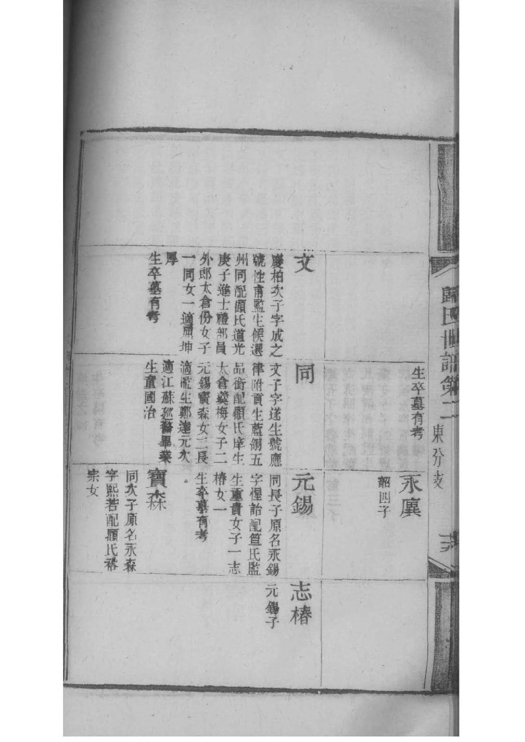 杨家家谱全部的字辈
