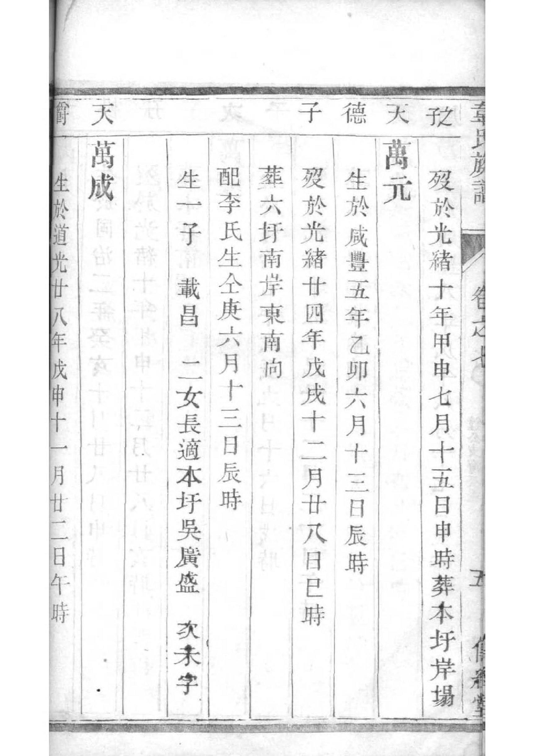 王氏族谱视频