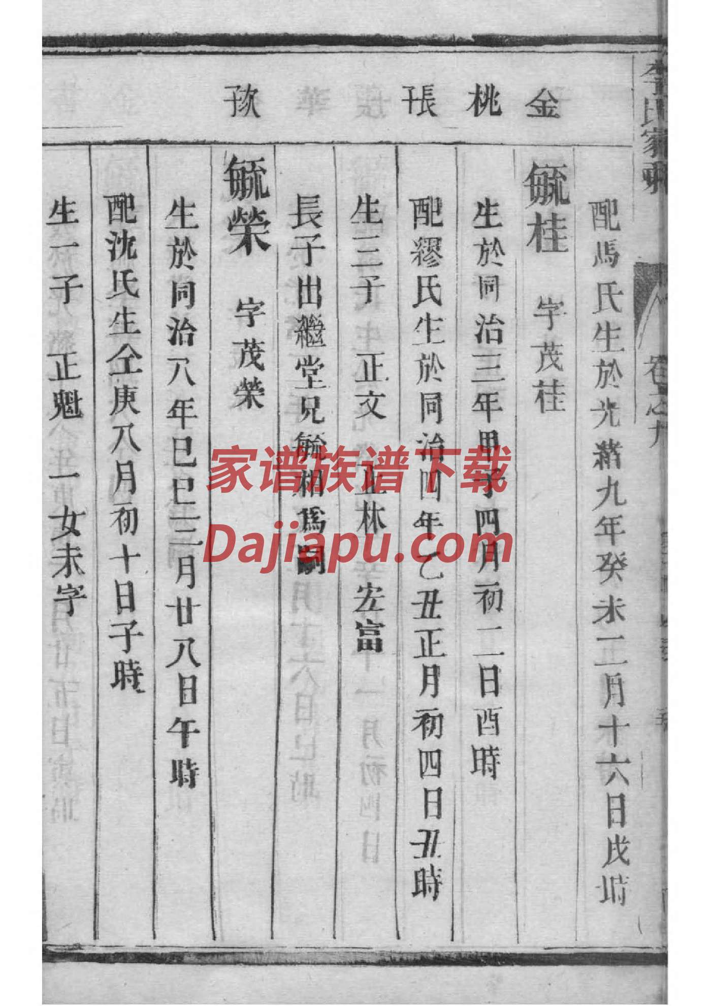 董氏家谱