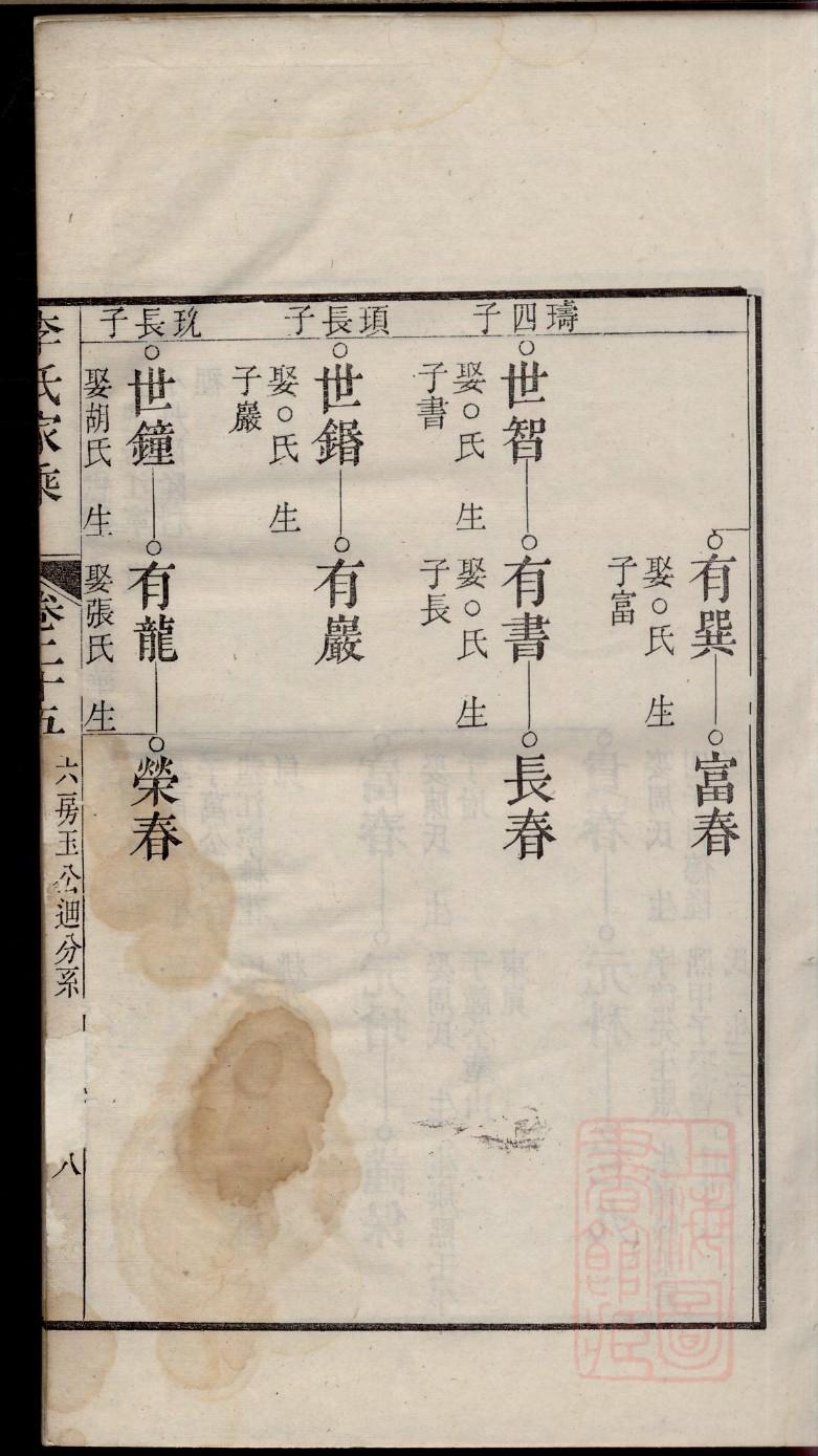 夏家族谱