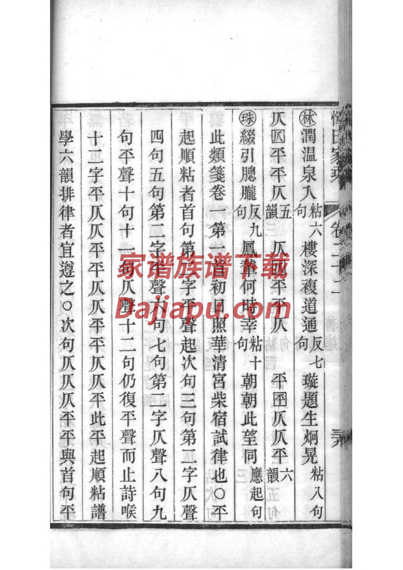 河南固始王氏家谱