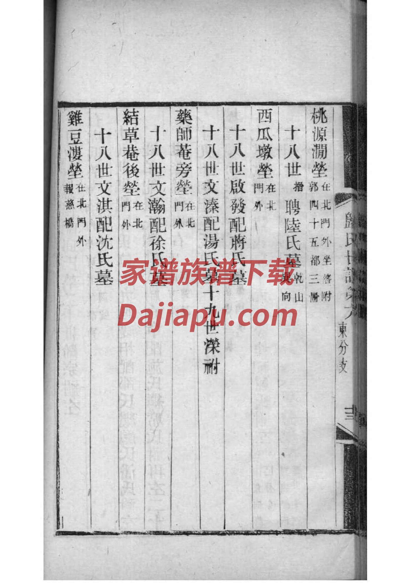 家谱英文是什么