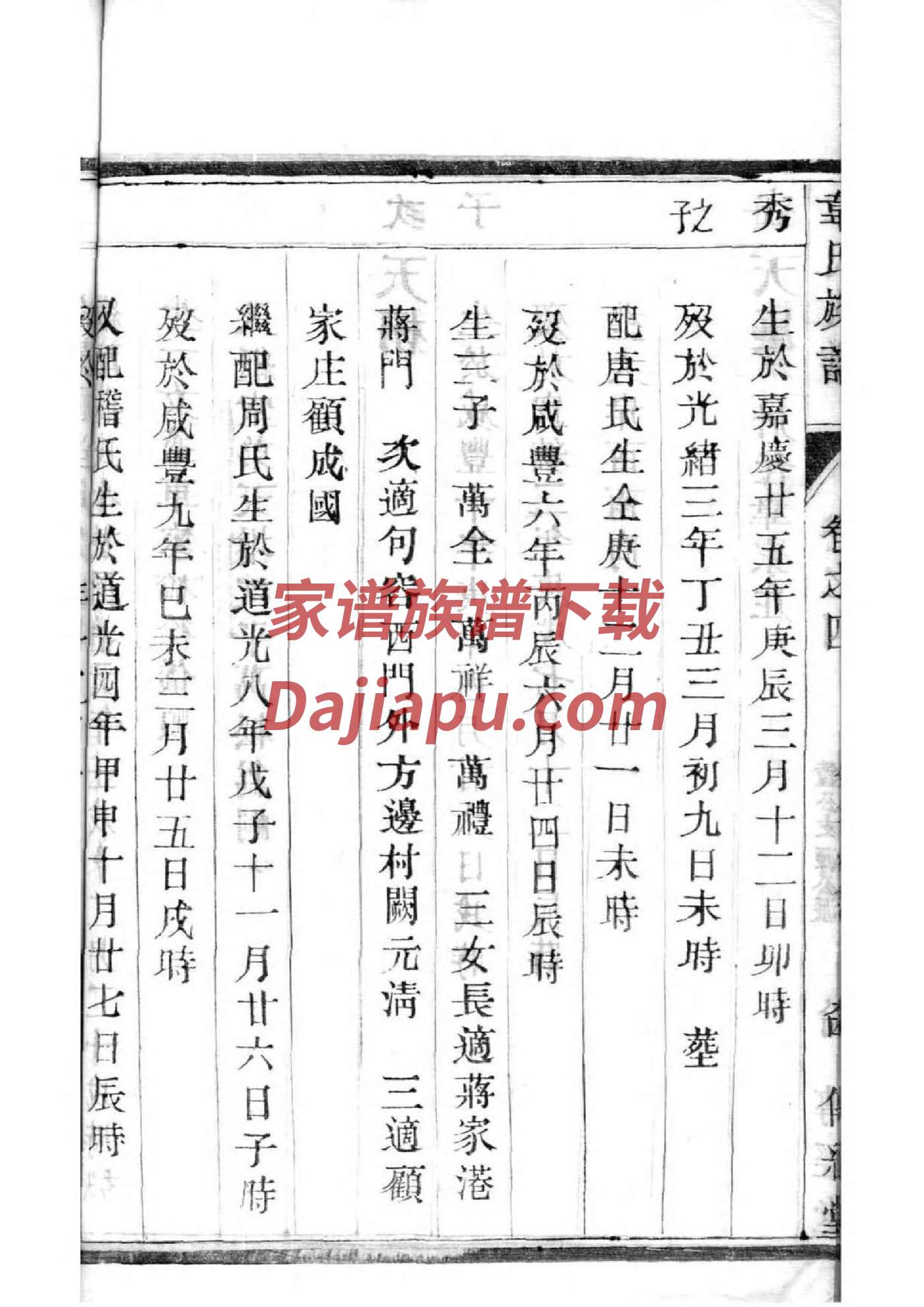 耶稣基督的家谱PPT