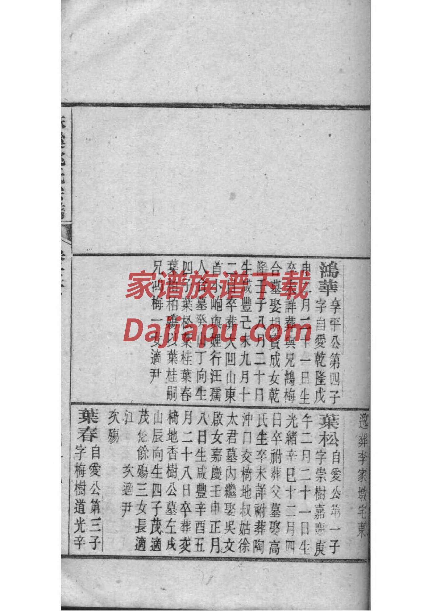 区氏族谱