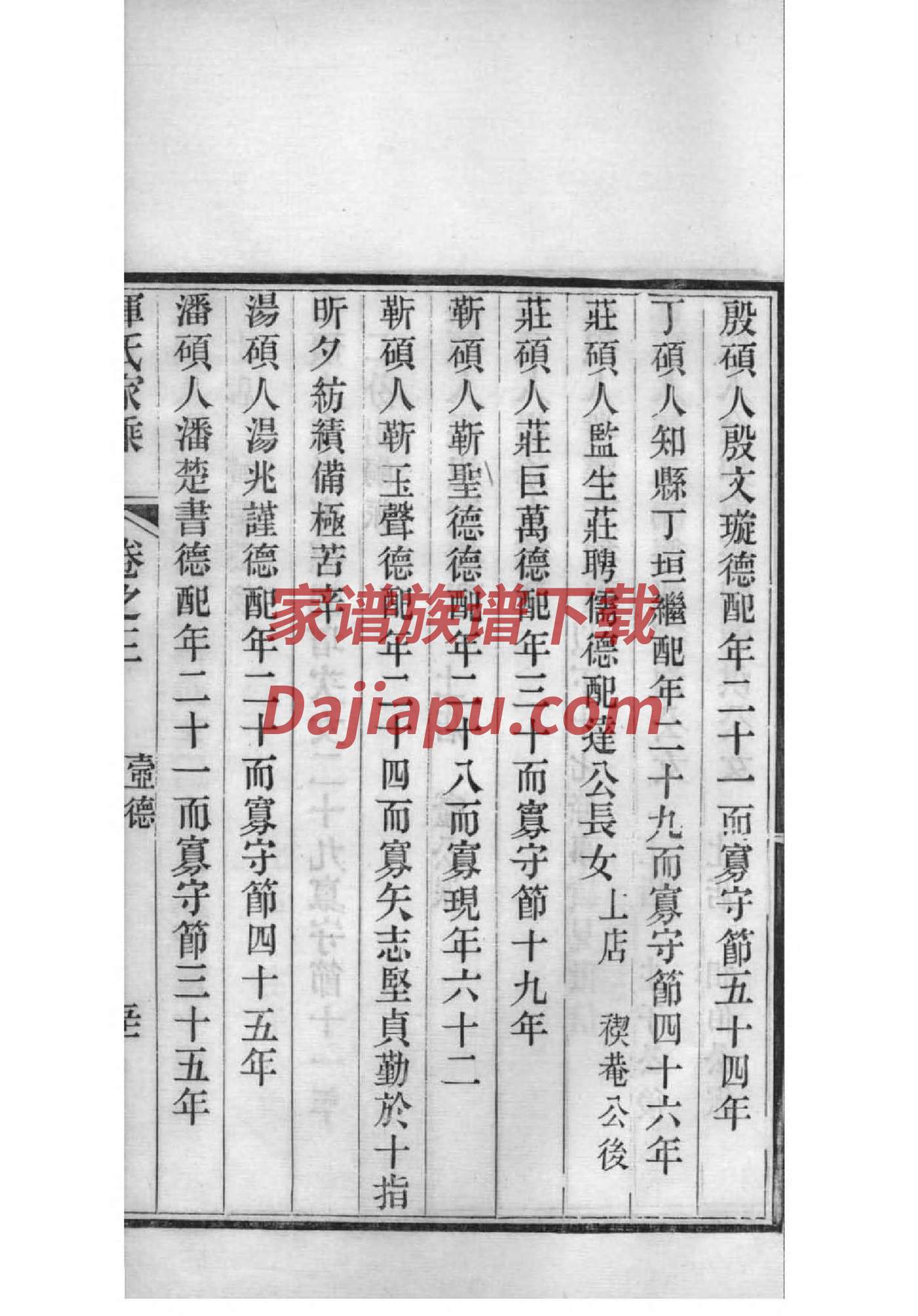 雒氏家谱族谱数据库