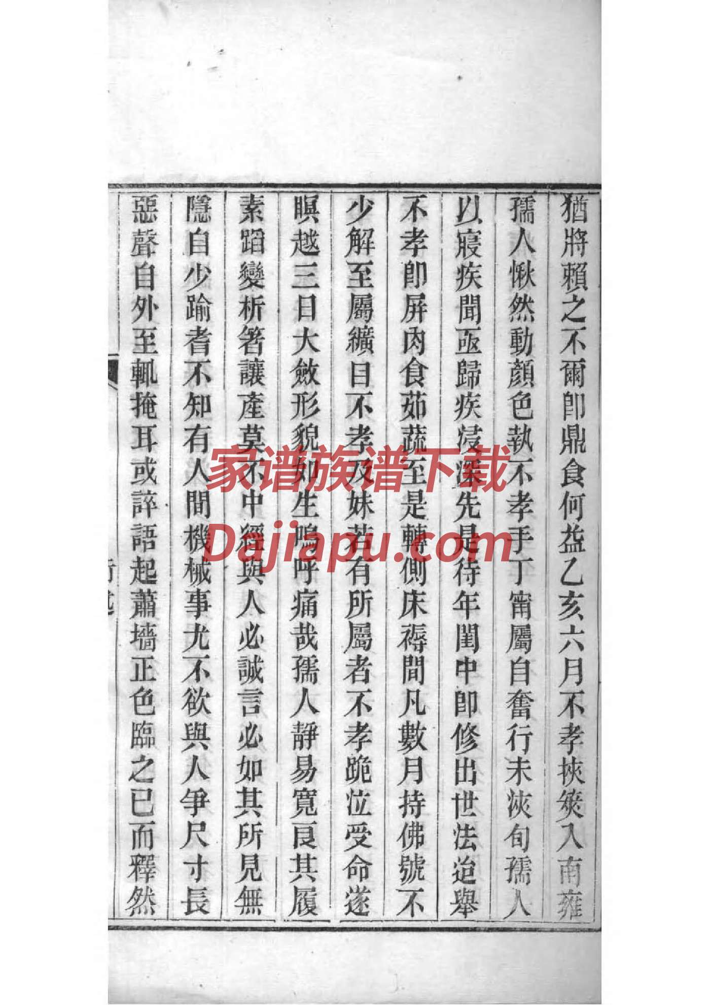 徐氏族谱开字辈