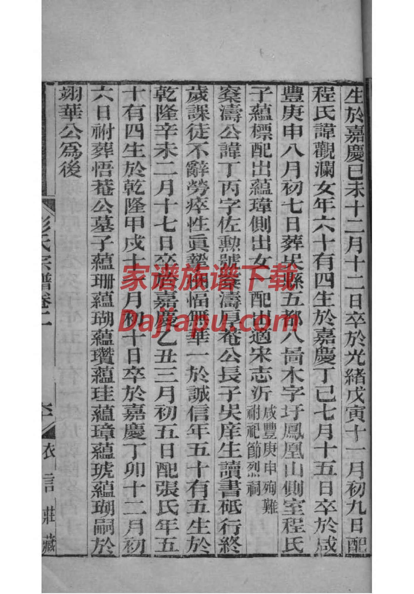 罗家族谱字辈