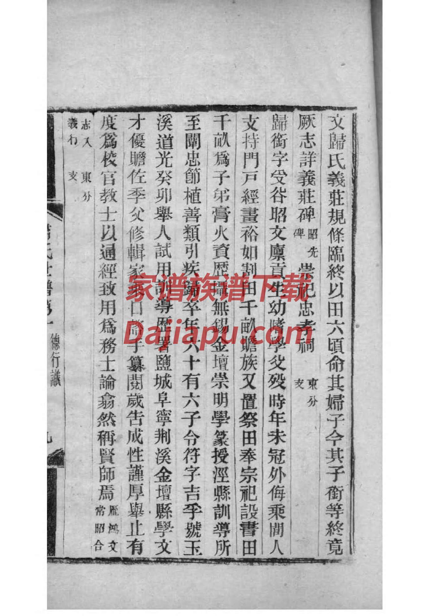 许氏家族族谱字辈大全