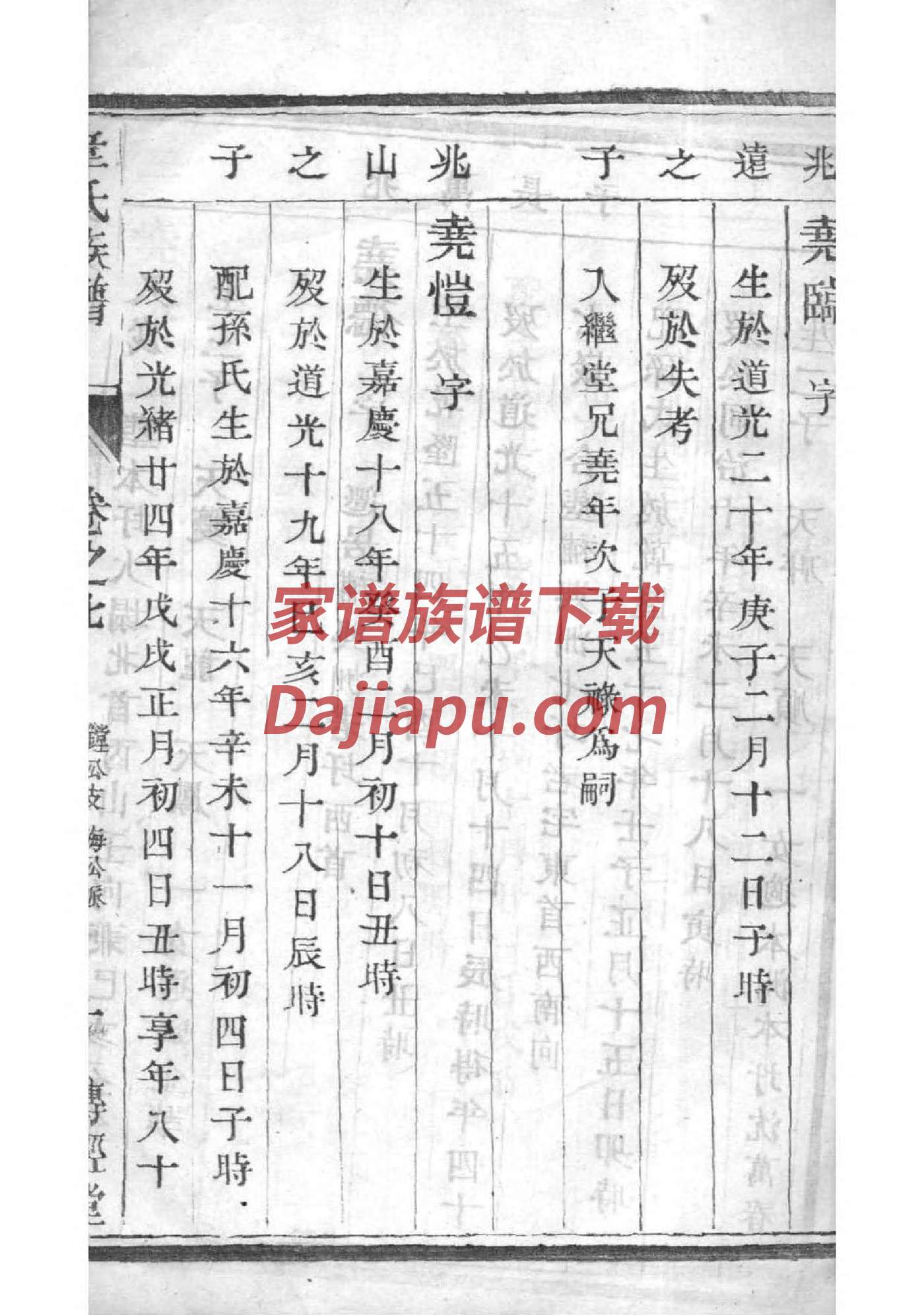 制作家谱EXCEL模板