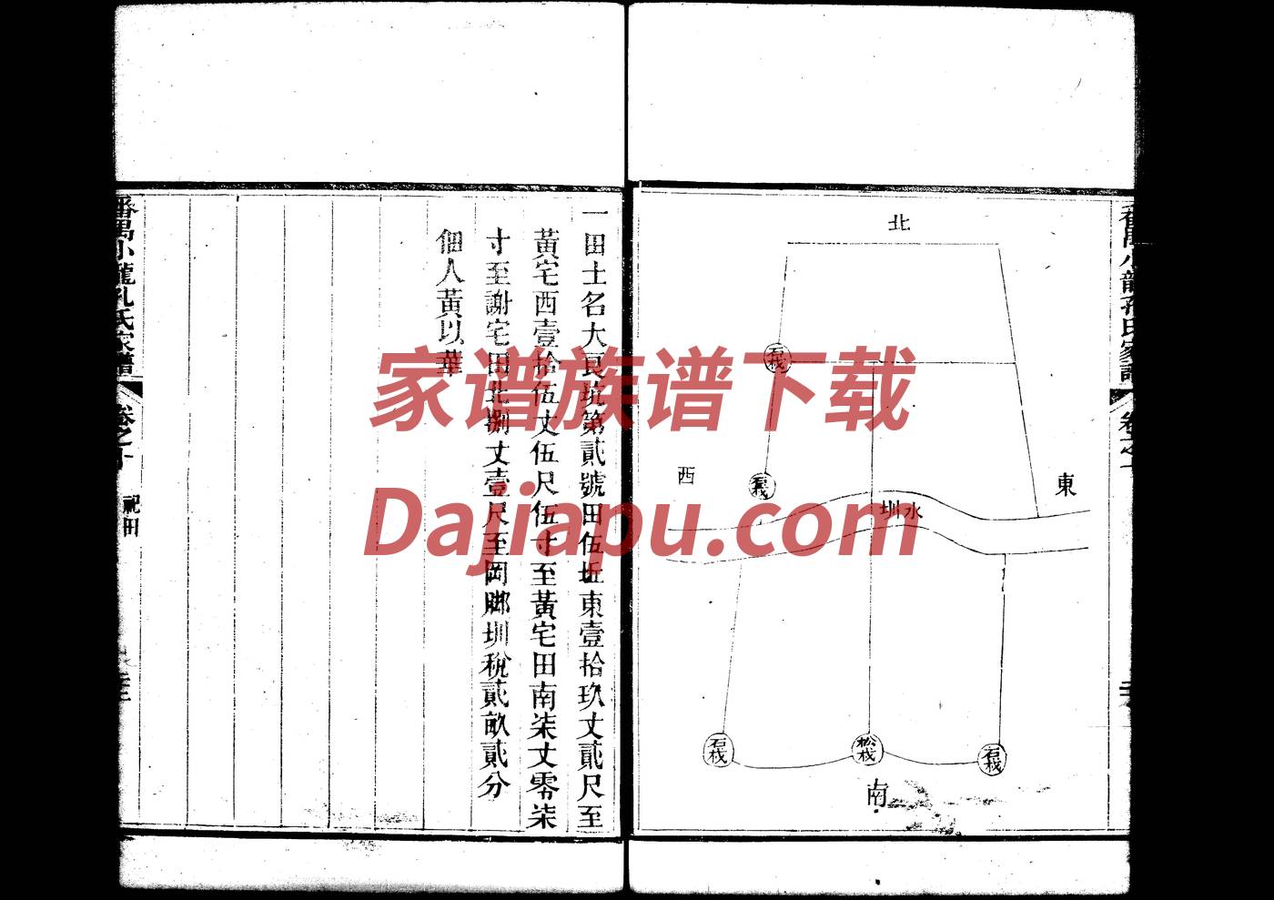 活人能写入家谱吗