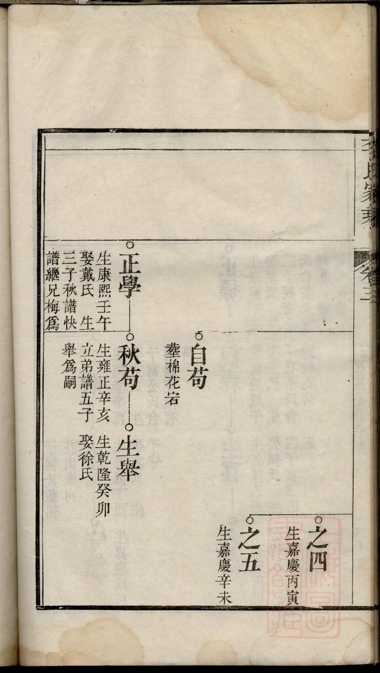 麦氏的起源