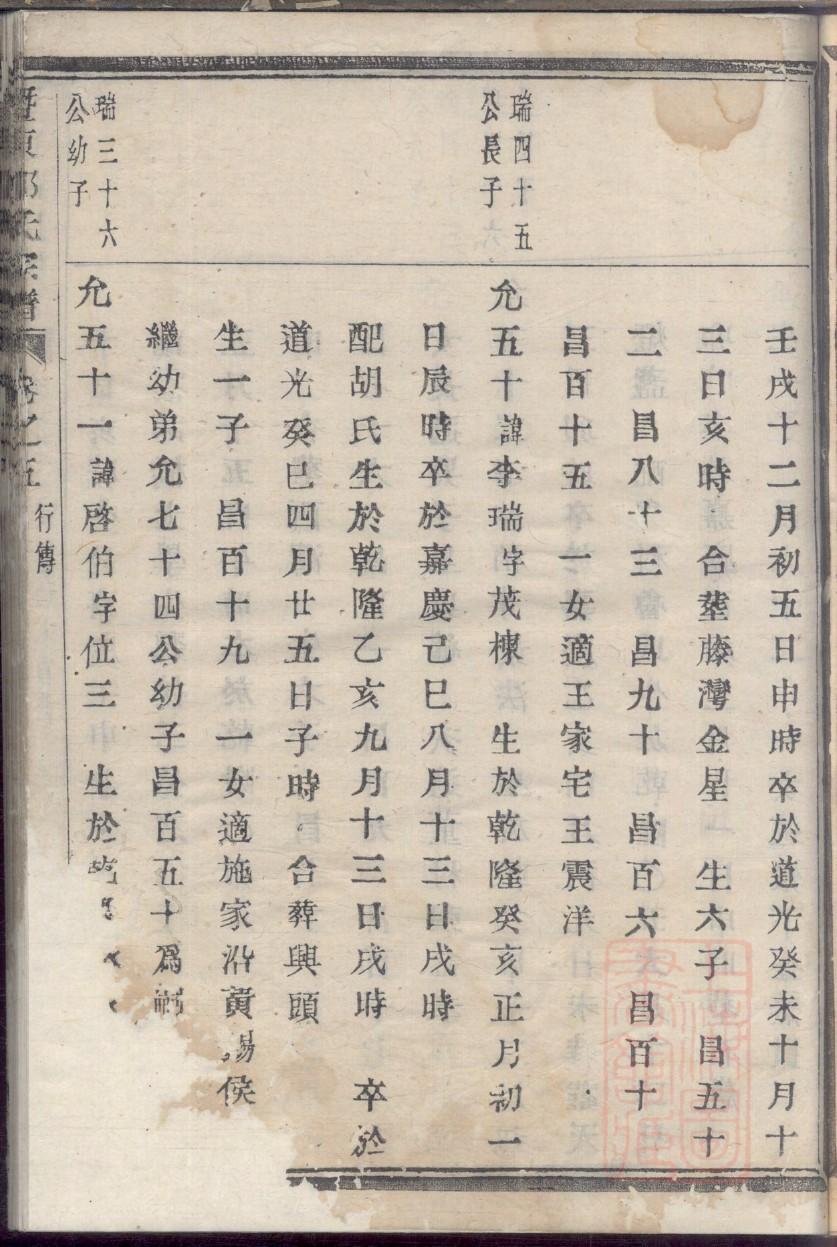 杨过后代家族族谱