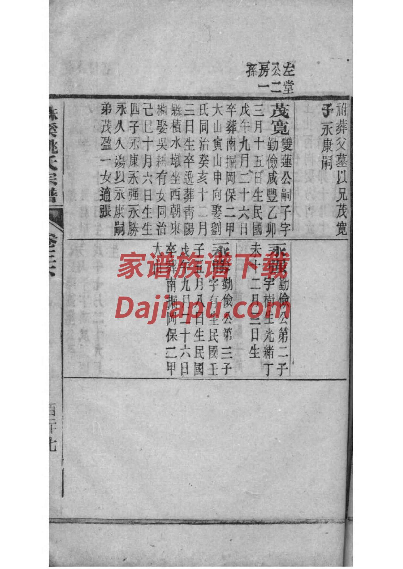是姓族谱字辈查询全部
