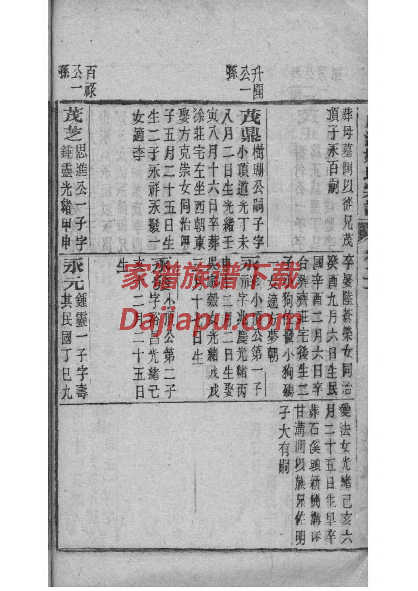 沈家家谱全部的字辈