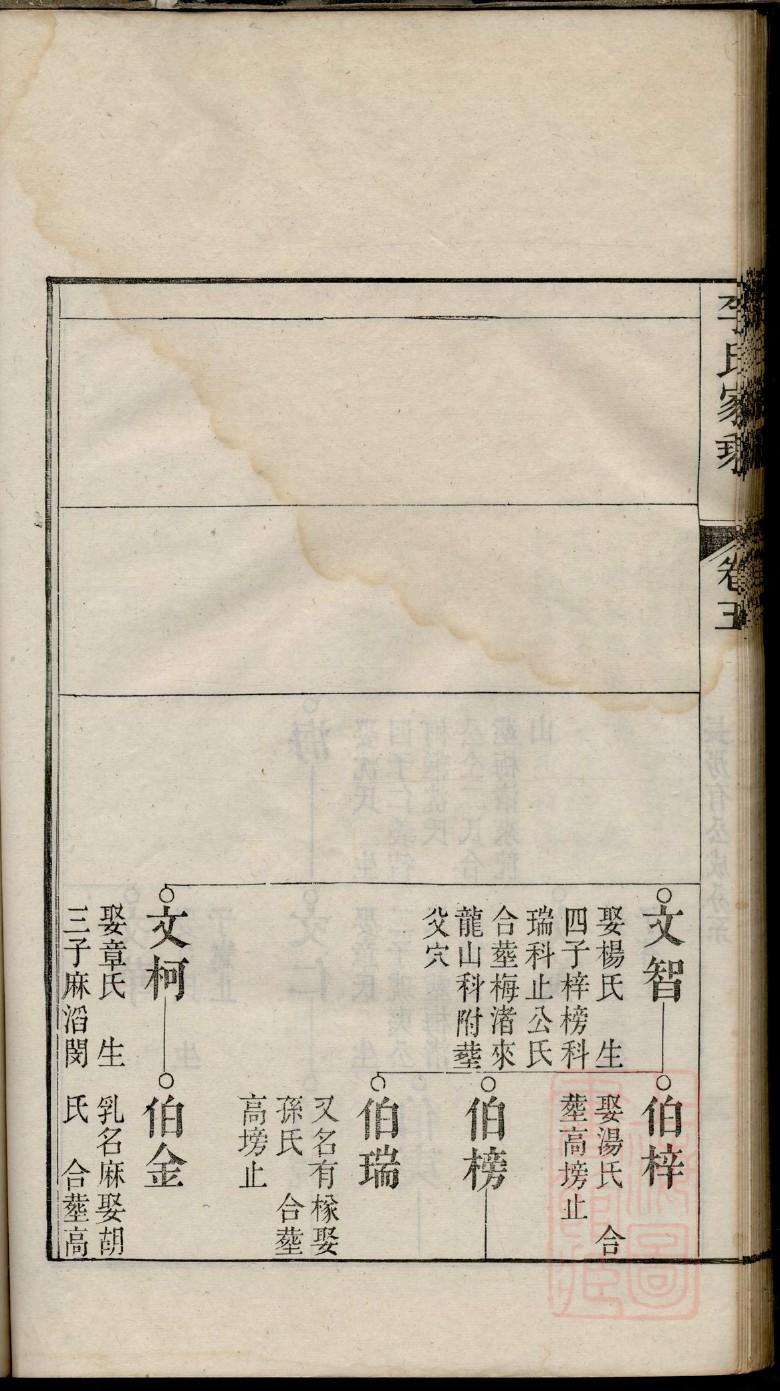 二年级家谱图