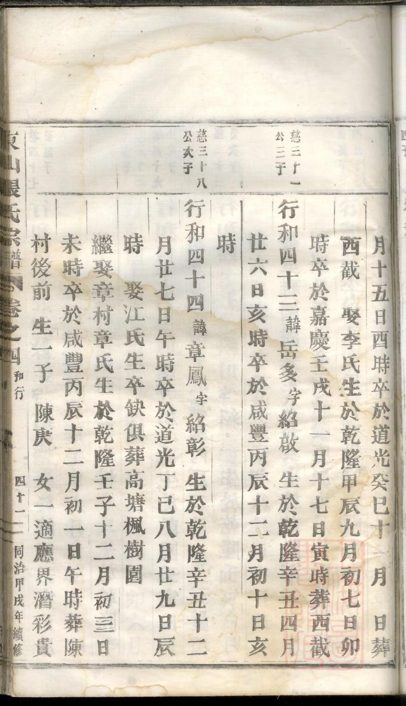 家谱小报装饰