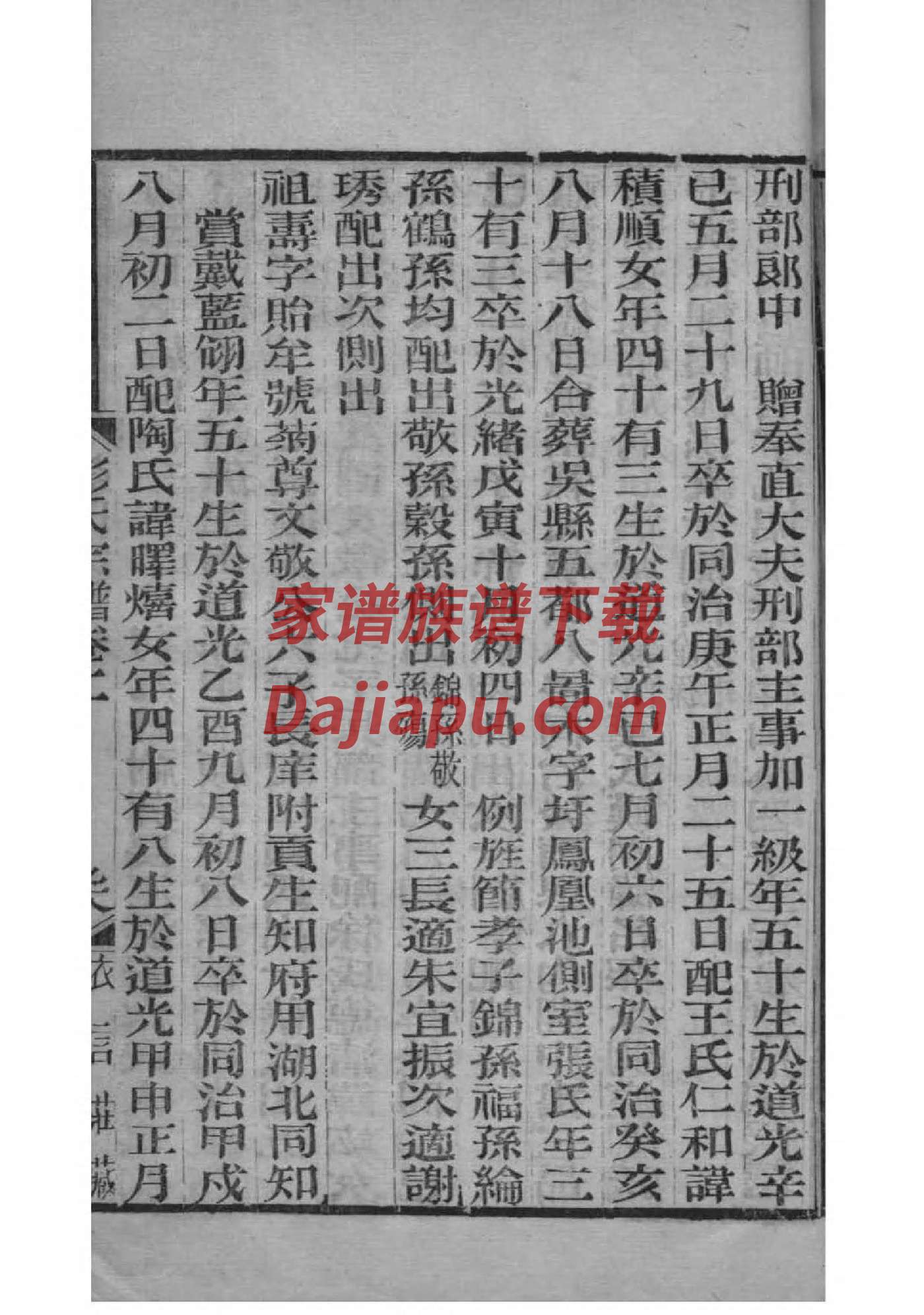 宣纸线装家谱印刷