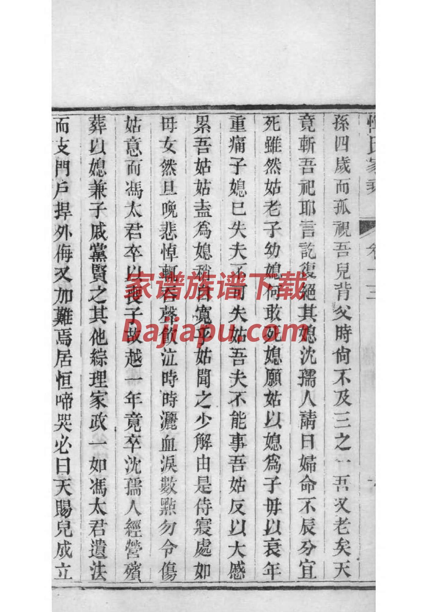 华氏辈分表