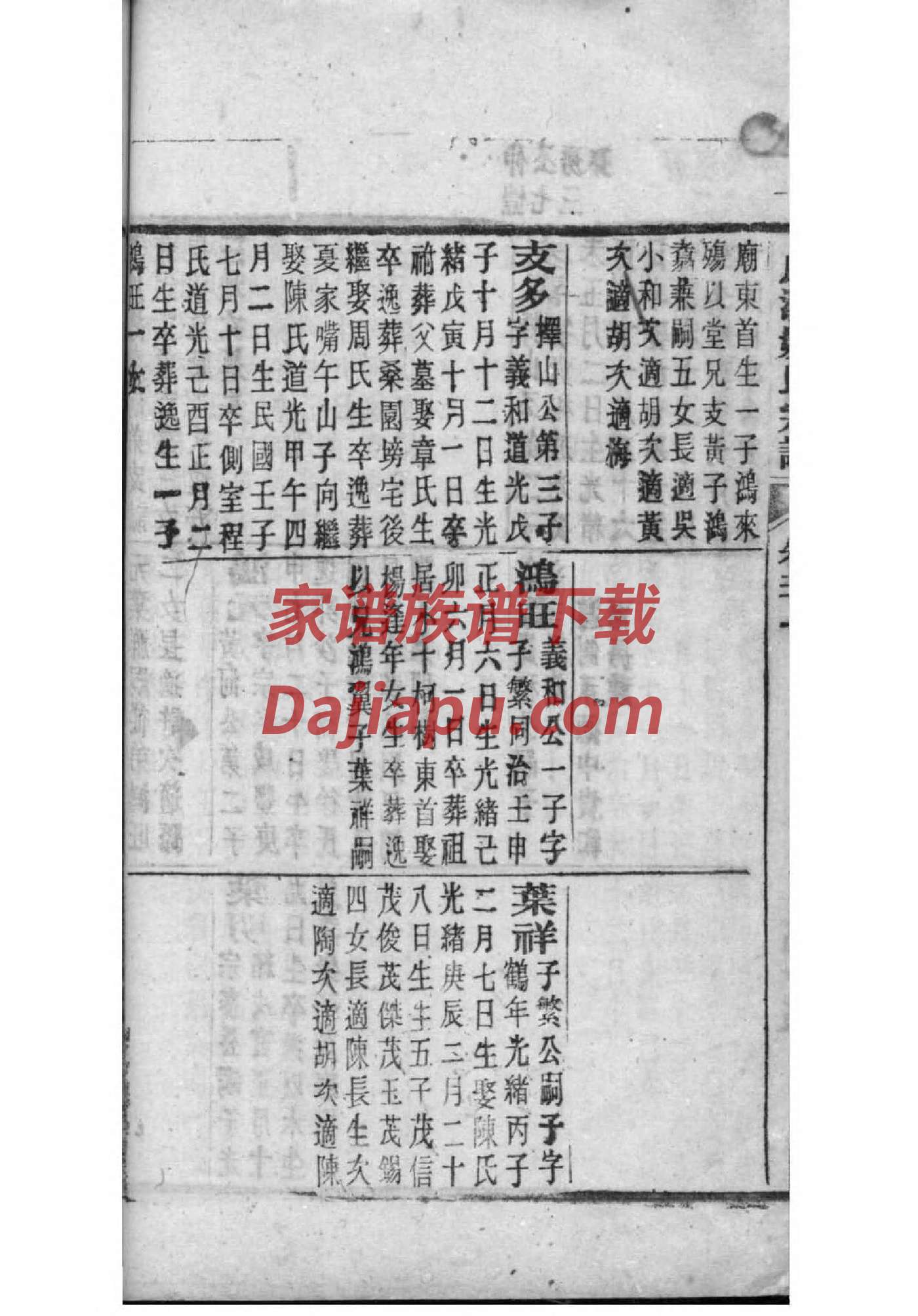 仇姓族谱字辈大全