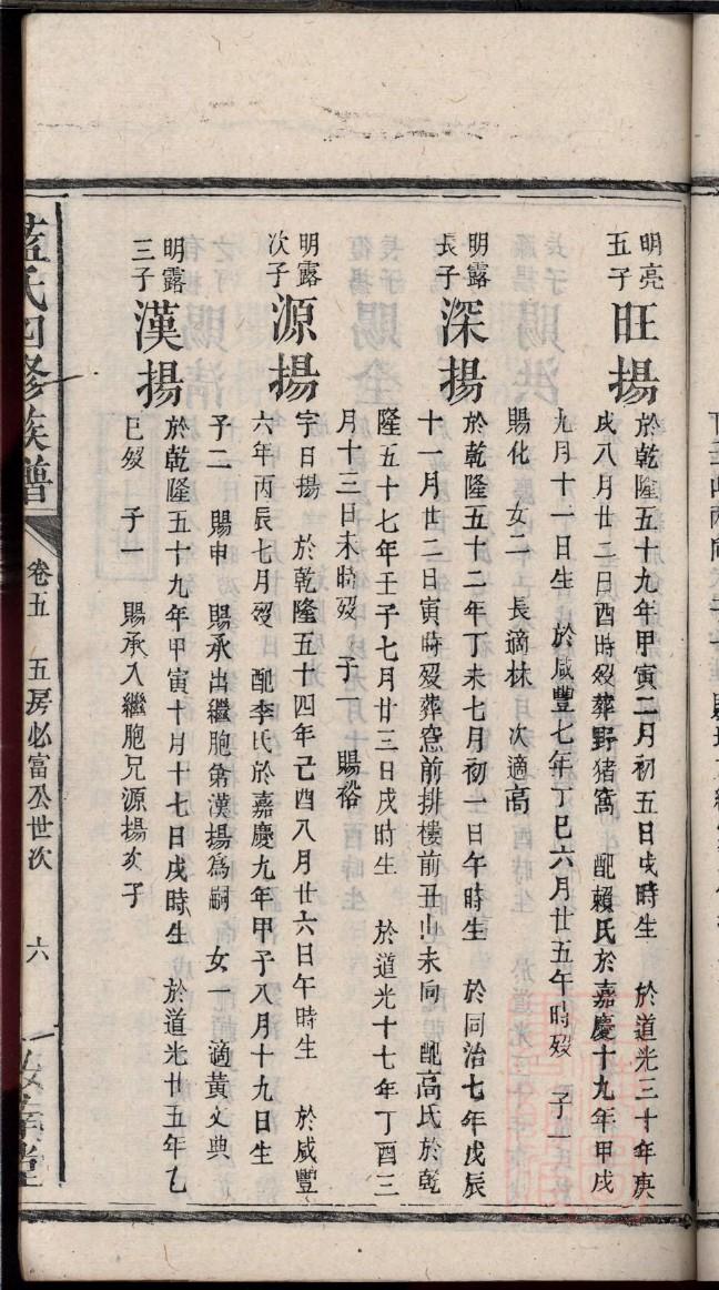 家谱样本图图表