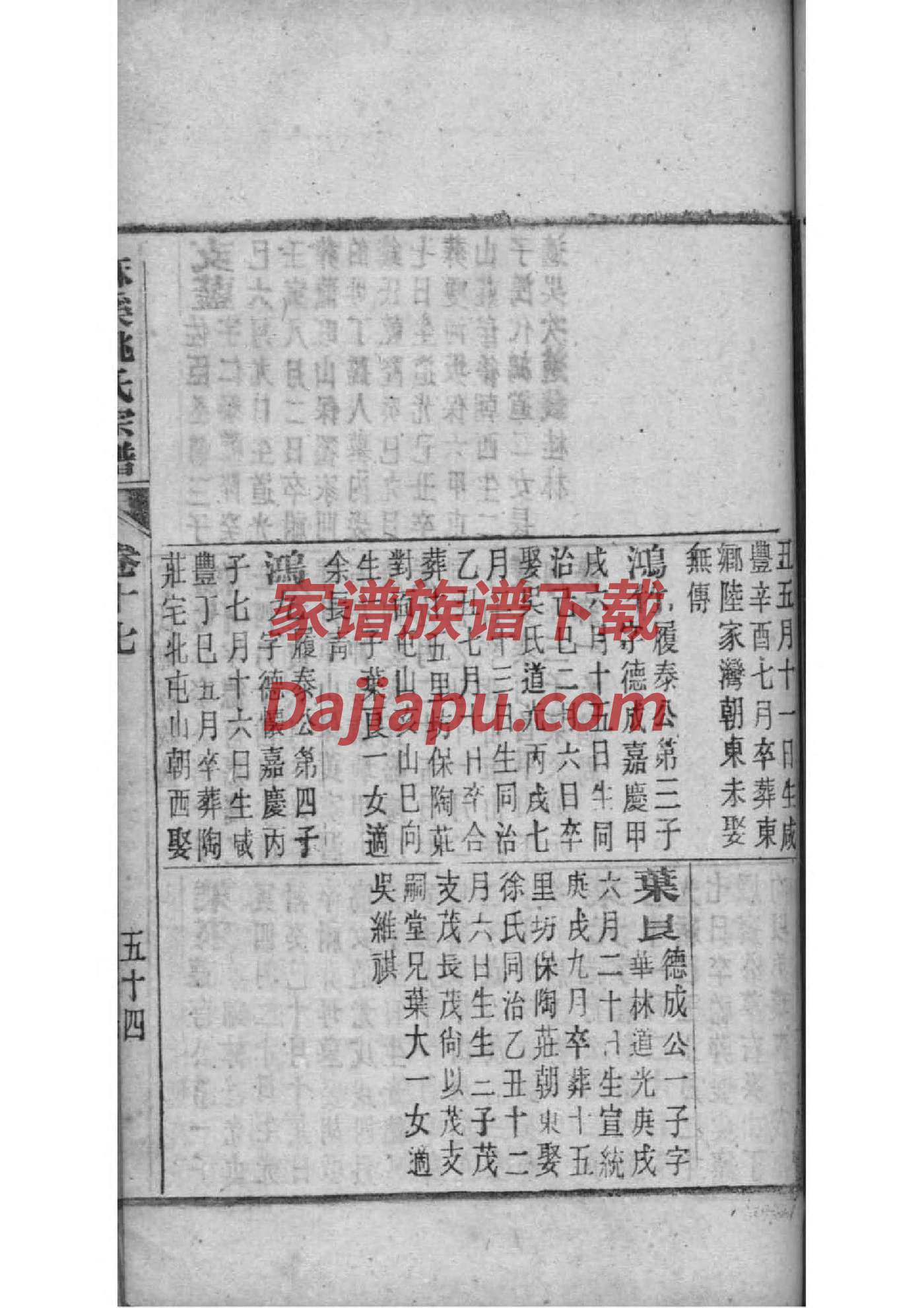 付氏家谱排列表