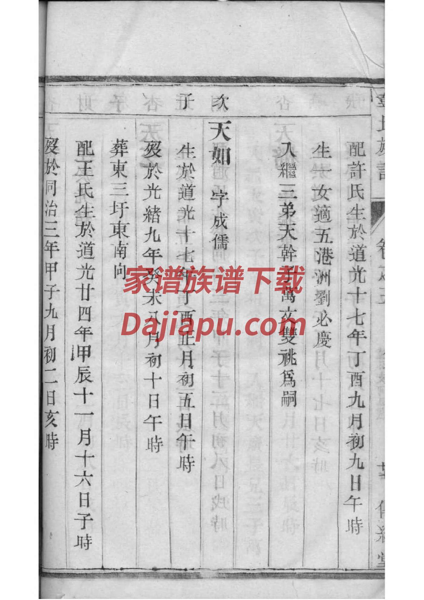 赫姓辈分排行世系表