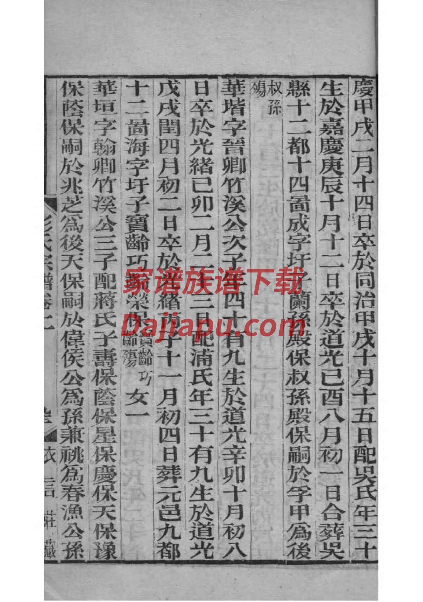 裴氏新家谱