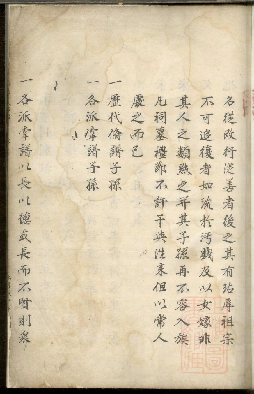 家谱制作图片