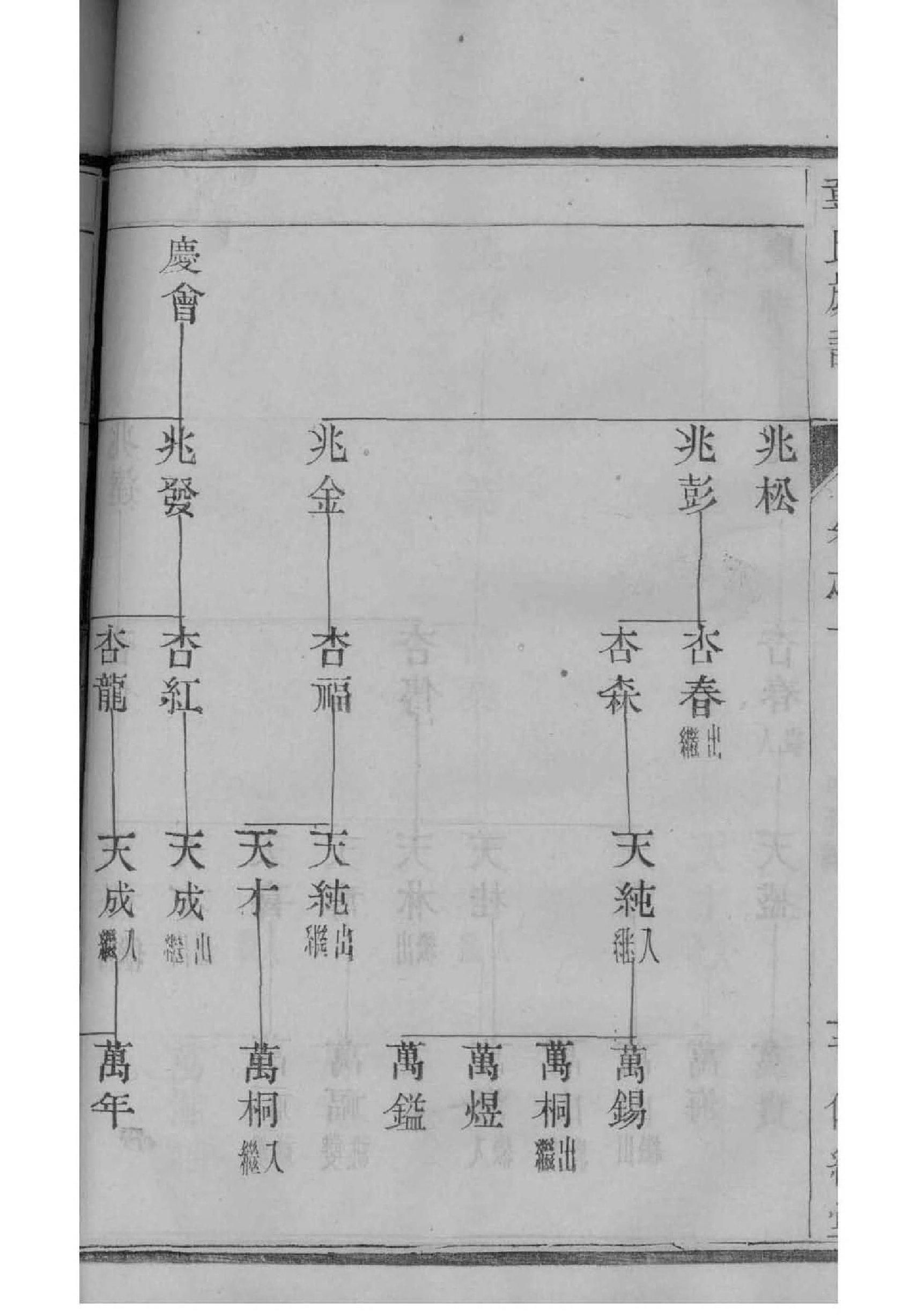 电子版族谱