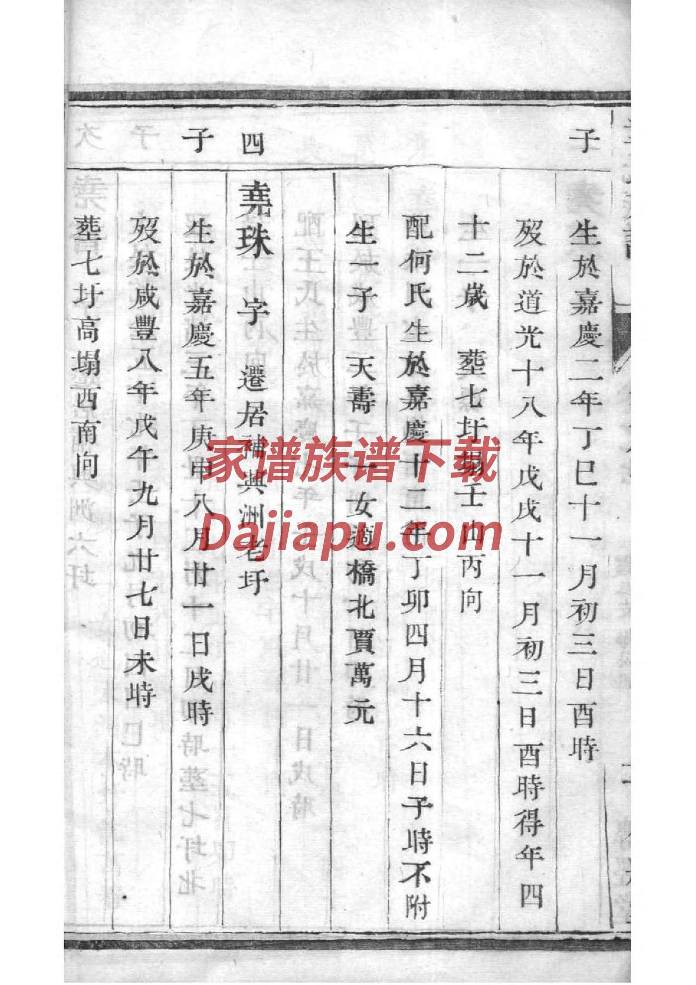 装家谱的装饰盒