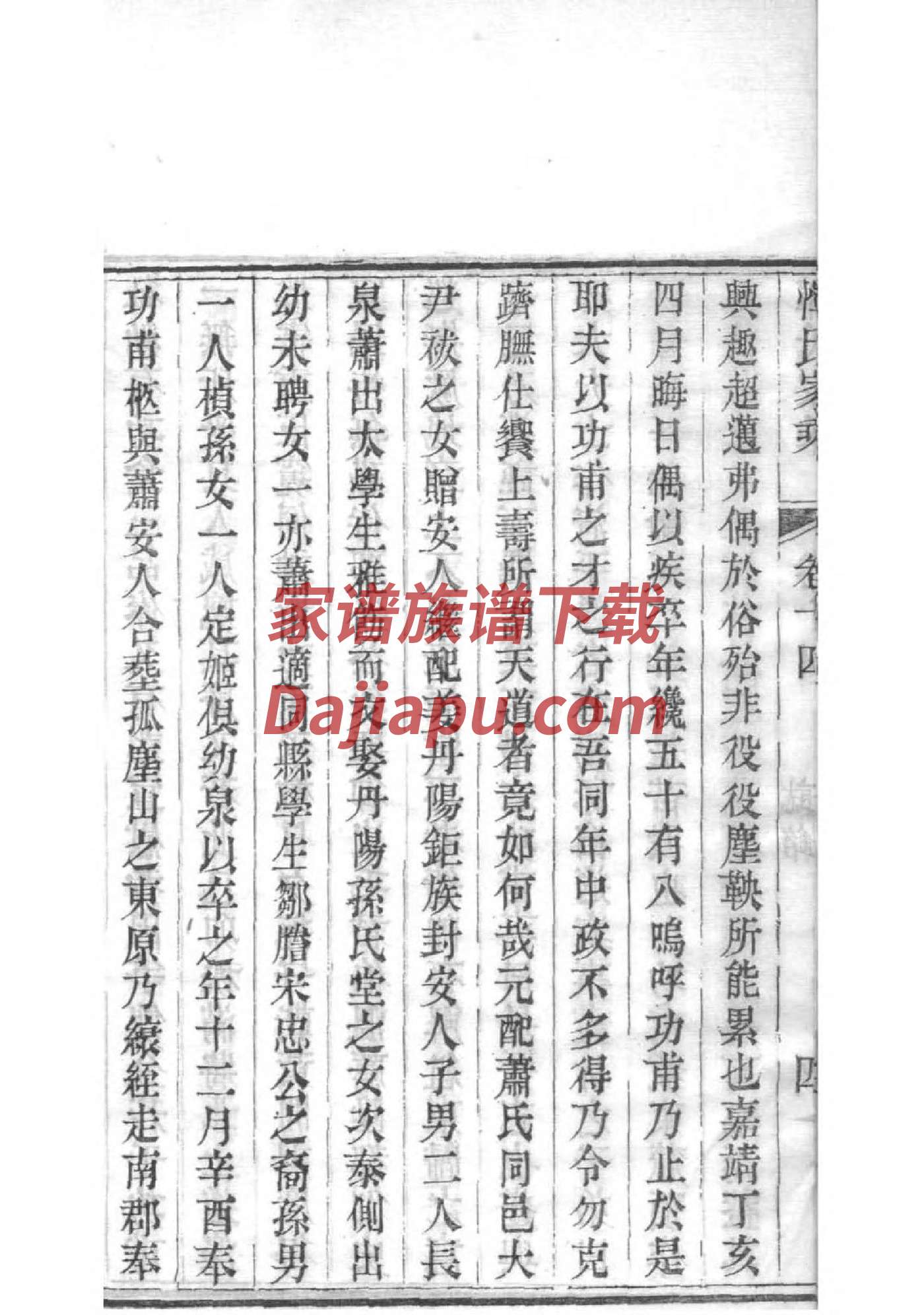 免费查家谱杨氏宗谱