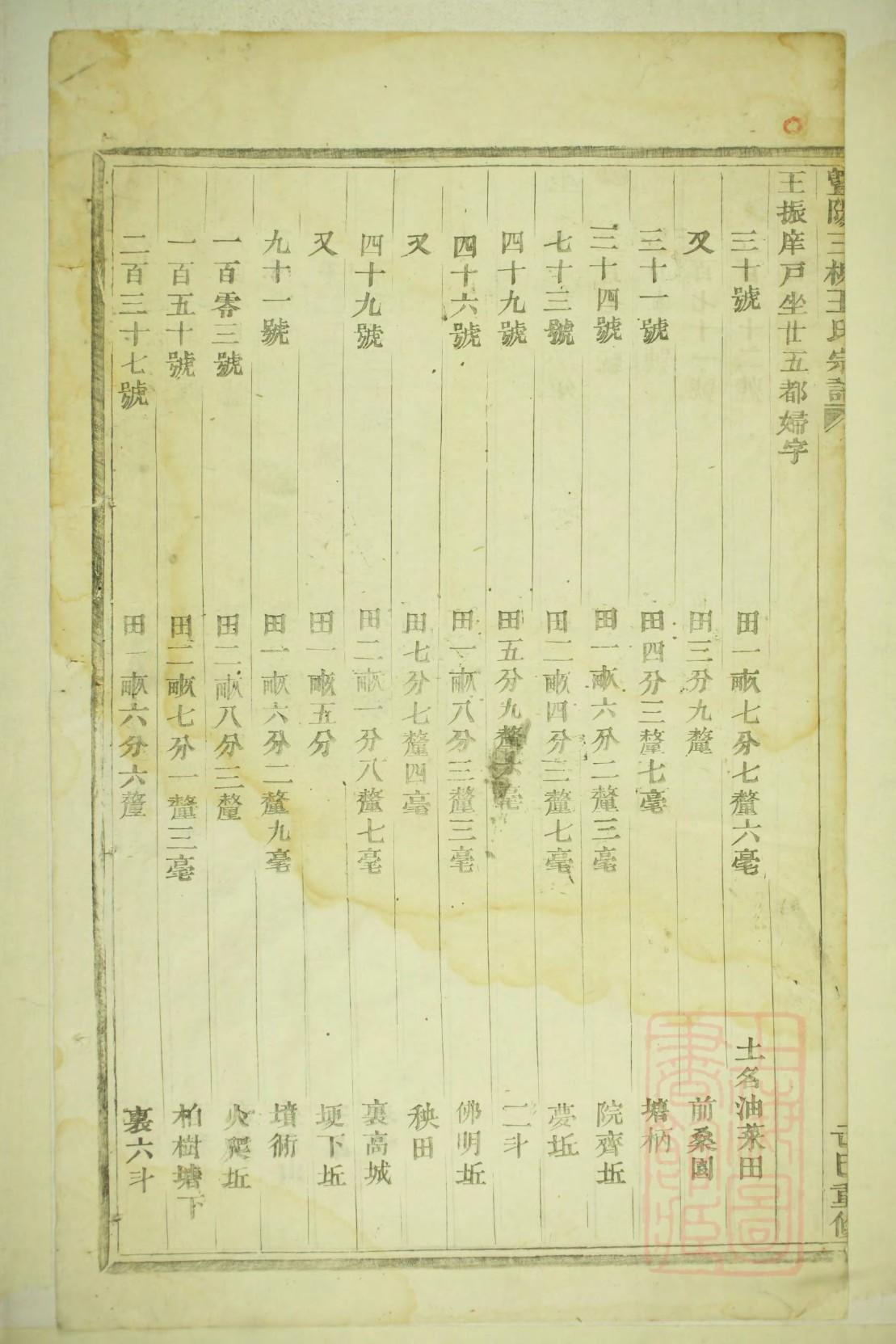 家谱树小报图片