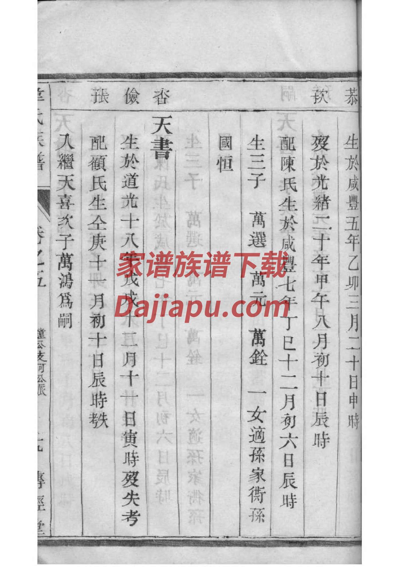李家的家谱