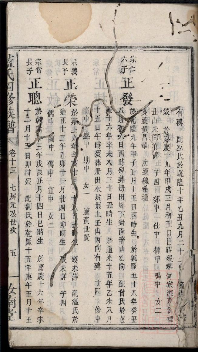 盛世家族家谱